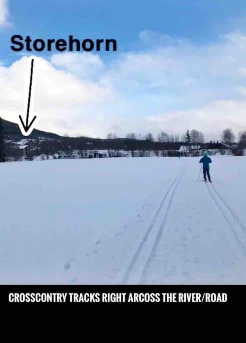 Storehorn Apartments Hemsedal Εξωτερικό φωτογραφία